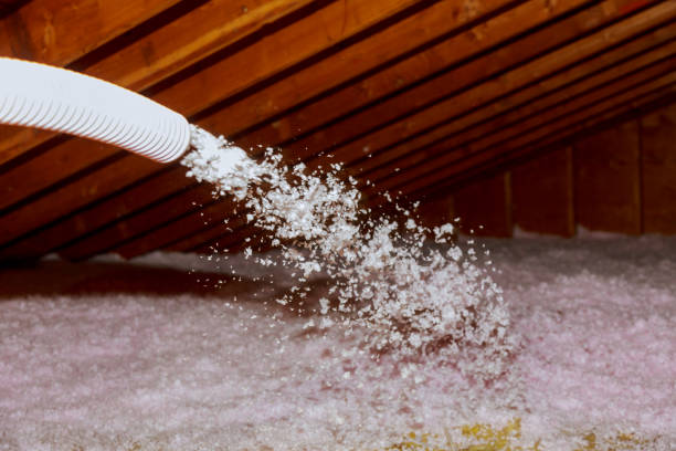 Best Spray Foam Insulation  in Rogersville, MO