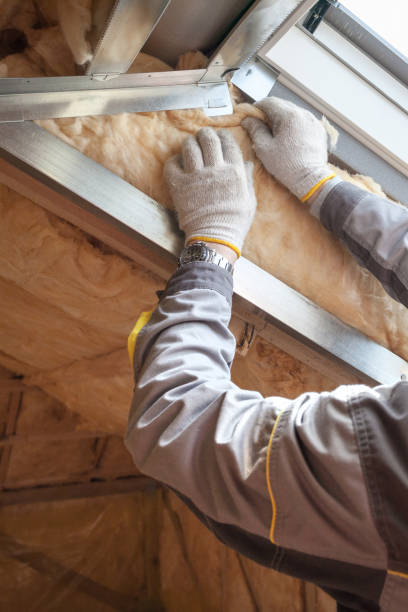 Best Energy-efficient Insulation  in Rogersville, MO