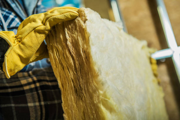 Best Insulation Contractors for Homes  in Rogersville, MO