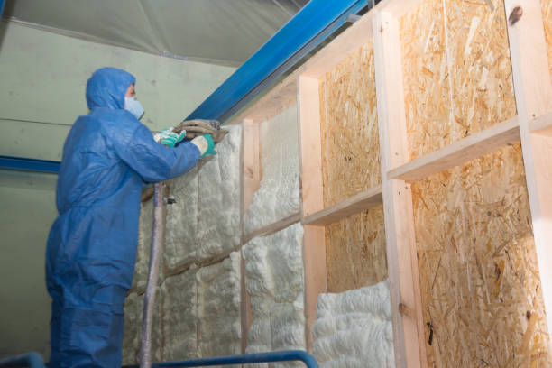 Best Insulation Contractor Near Me  in Rogersville, MO