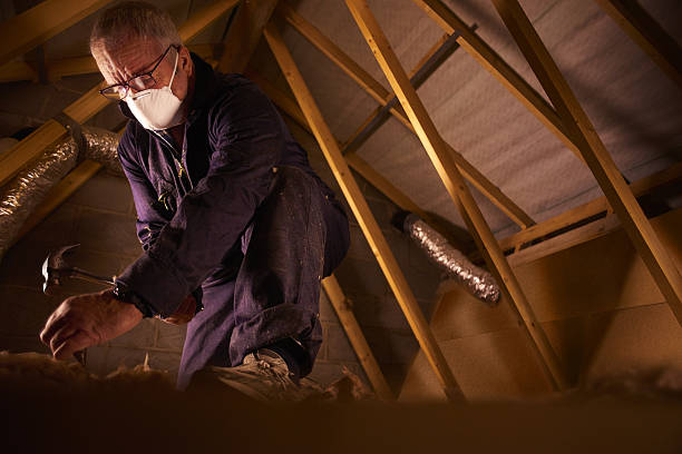 Best Crawl Space Insulation  in Rogersville, MO